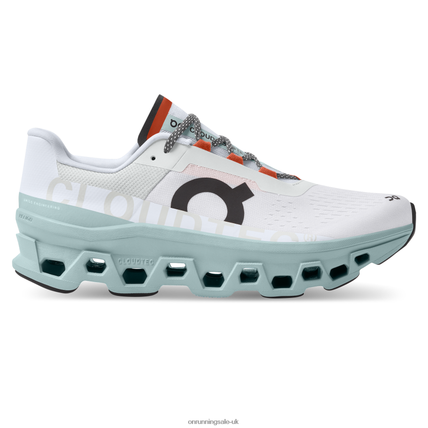On Running Men Cloudmonster 8N62N8886 Frost/Surf