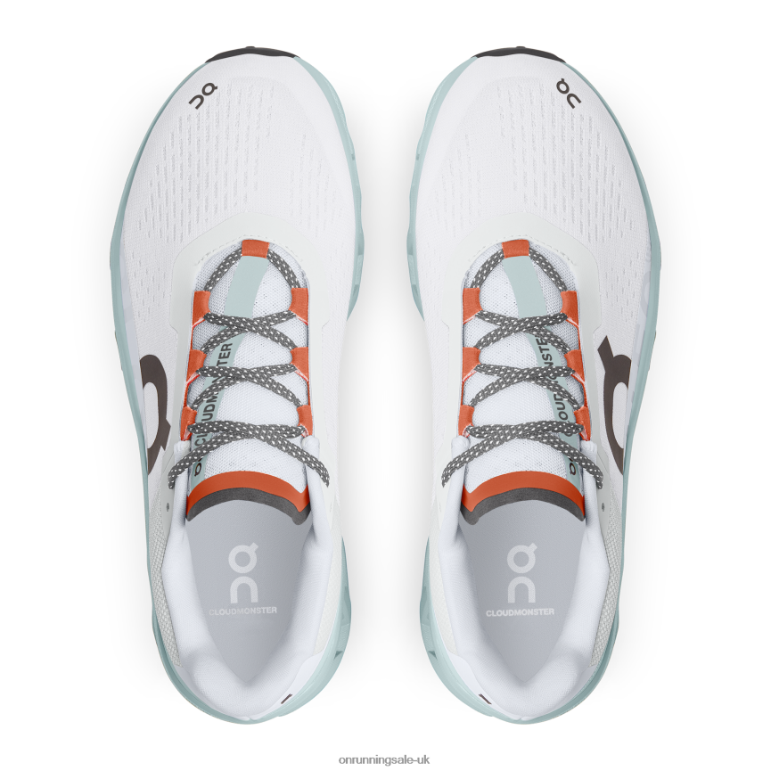 On Running Men Cloudmonster 8N62N8886 Frost/Surf