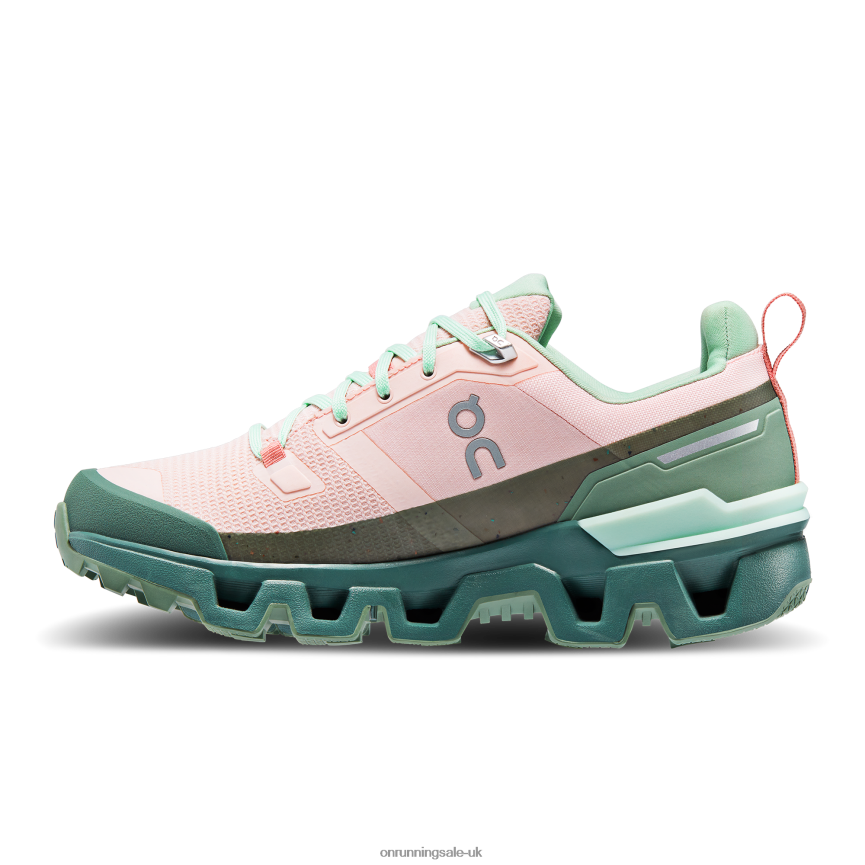 On Running Women Cloudwander Waterproof 8N62N820 Doe/Ivy