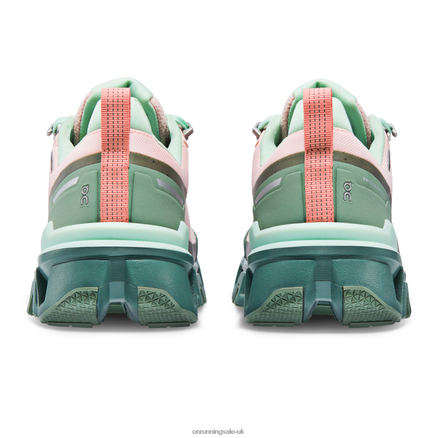 On Running Women Cloudwander Waterproof 8N62N820 Doe/Ivy