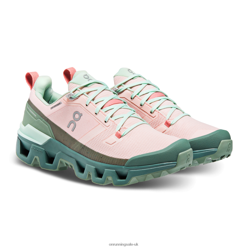 On Running Women Cloudwander Waterproof 8N62N820 Doe/Ivy